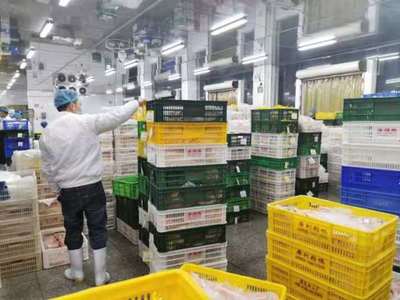 马上行动!广东农产品采购商联盟投身“保供稳价安心”战“疫”中